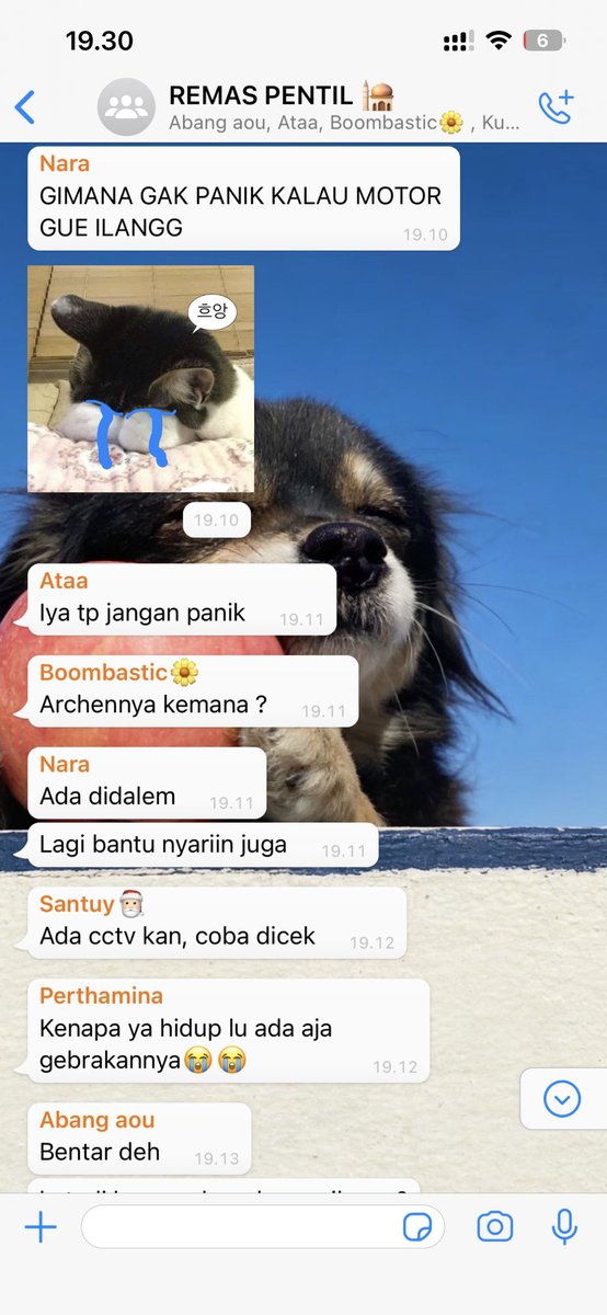 notexale's tweet photo. #Jasper x #DBPP one tweet au
โremaja masjid pecinta tahlil (Remas pentil) : Motor Nara ilang (lagi) https://t.co/McWv95CcFV