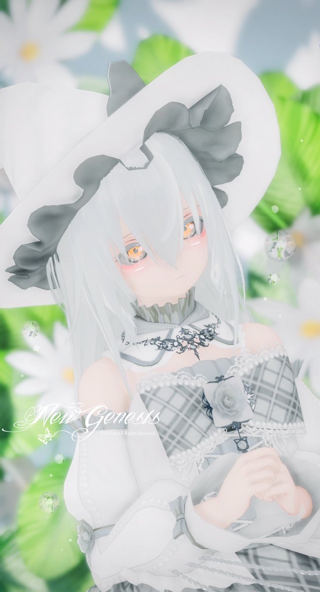 白花の丘の魔女” #PSO2NGS_SS #ｱﾆﾏﾃｨｶﾌｪｲｽ #メンテの日なのでssを貼る