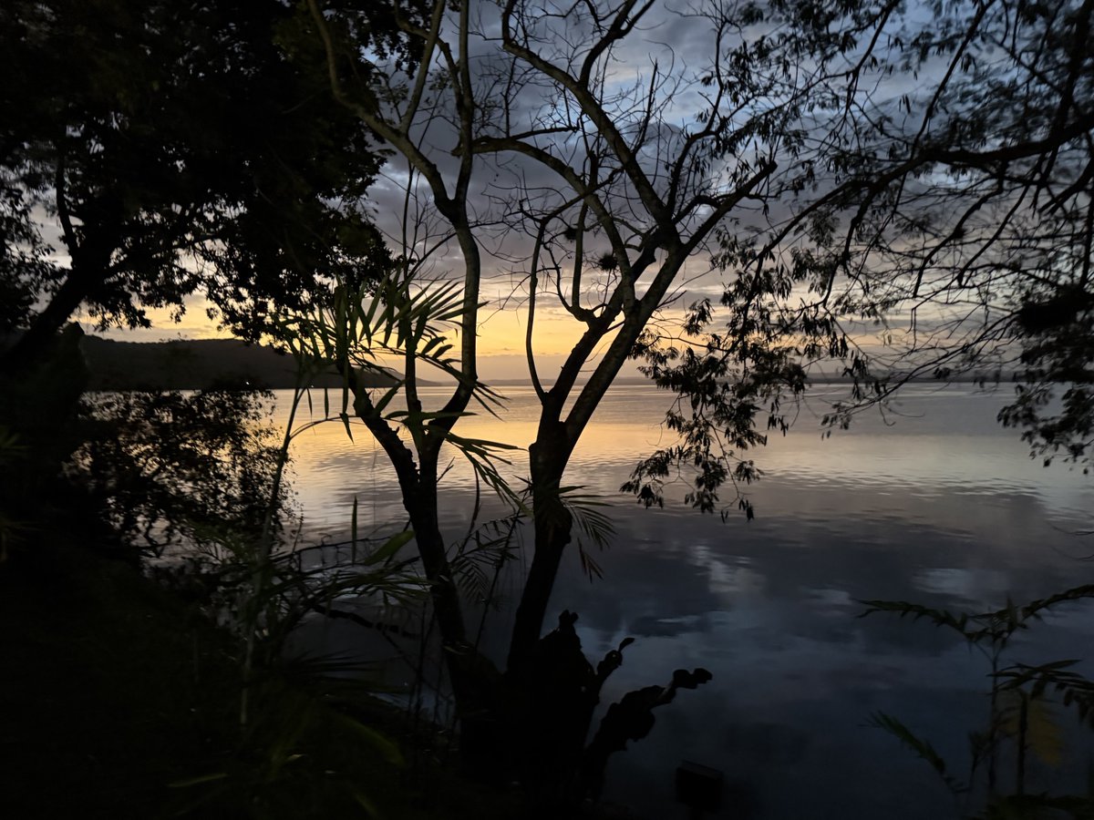 Carlos Fion tweet media