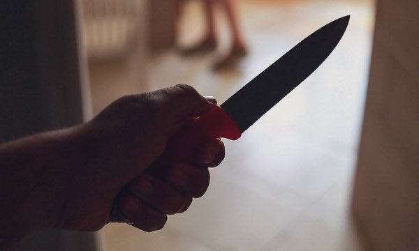 Wolf 🐺 tweet media