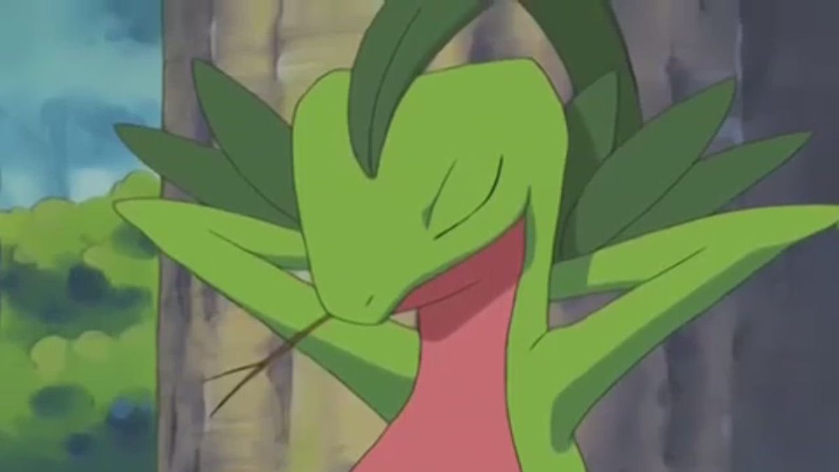 Treinador Zard tweet media