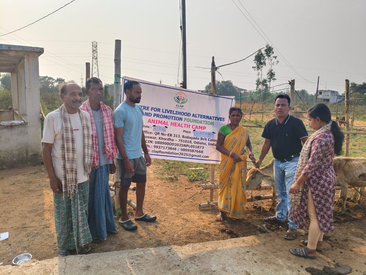 ClapFounda5250's tweet photo. An Animal Health Camp was conducted by @ClapFounda5250 at Silliput village, Therubali Gram Panchayat, Kolanara block, Rayagada district, Odisha on 24.02.2026. The camp provided vaccination info, deworming &amp; health check-ups, strengthening livestock health &amp; farmers’ livelihoods. https://t.co/VSVSSfMUQb