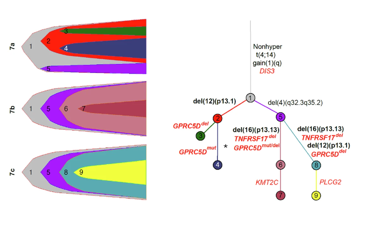 Hamza Hashmi tweet media