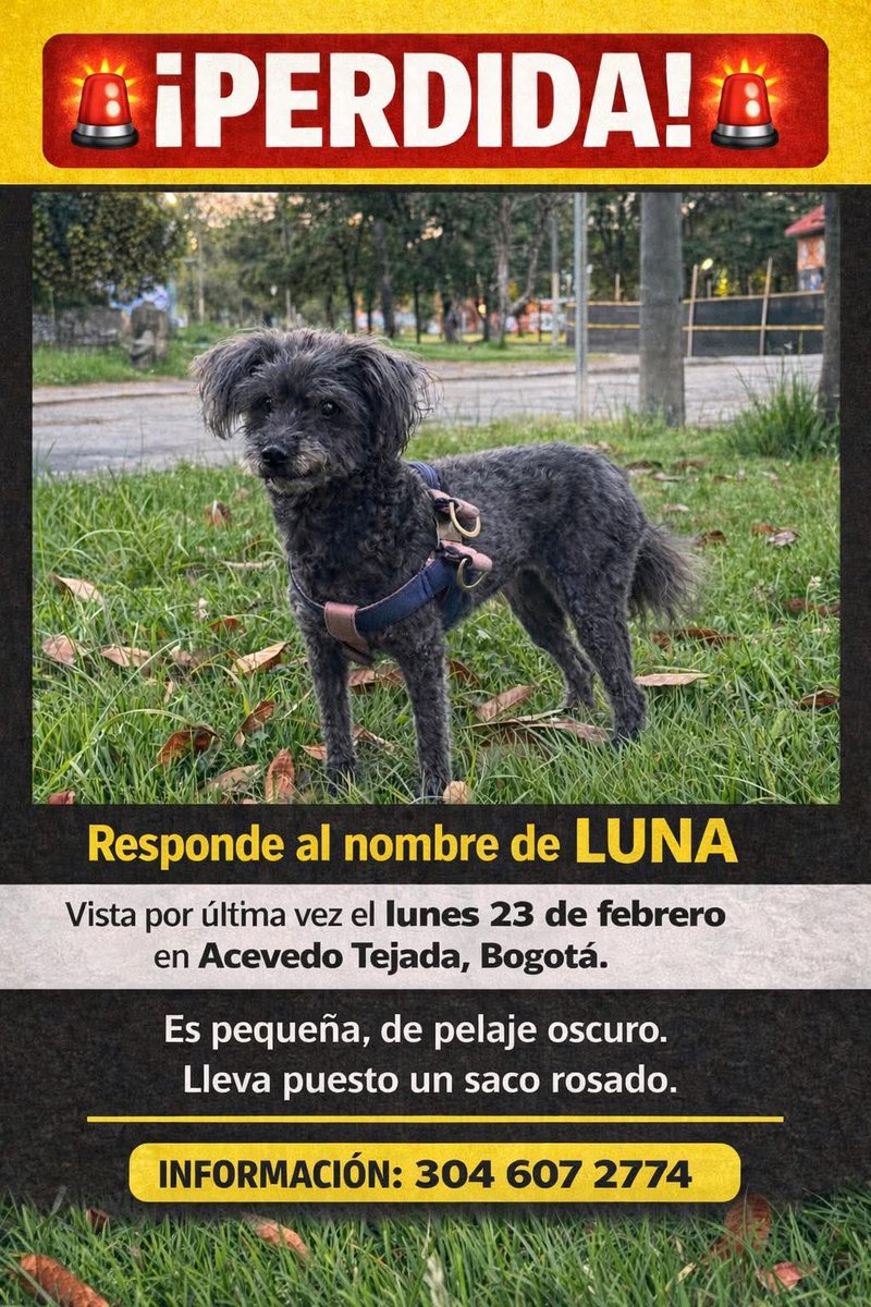 🚨🚨🚨 COMPARTO 🚨🚨🚨 
Se perdió ayer por la U. Nacional

¡La están buscando por todo lado! 😟🥺🥺
Ayudaaaa