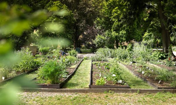 📢🔬NON PERDETE LE INTERESSANTI INIZIATIVE ORGANIZZATE DAI MUSEI ANMS!🔭🌏
👉Ecco il link alla nostra newsletter settimanale: mailchi.mp/a6364205d25f/g…
👀 Continuate a seguirci anche sul nostro sito: anms.it
👥 Per diventare Soci ANMS scrivete a: segreteria@anms.it