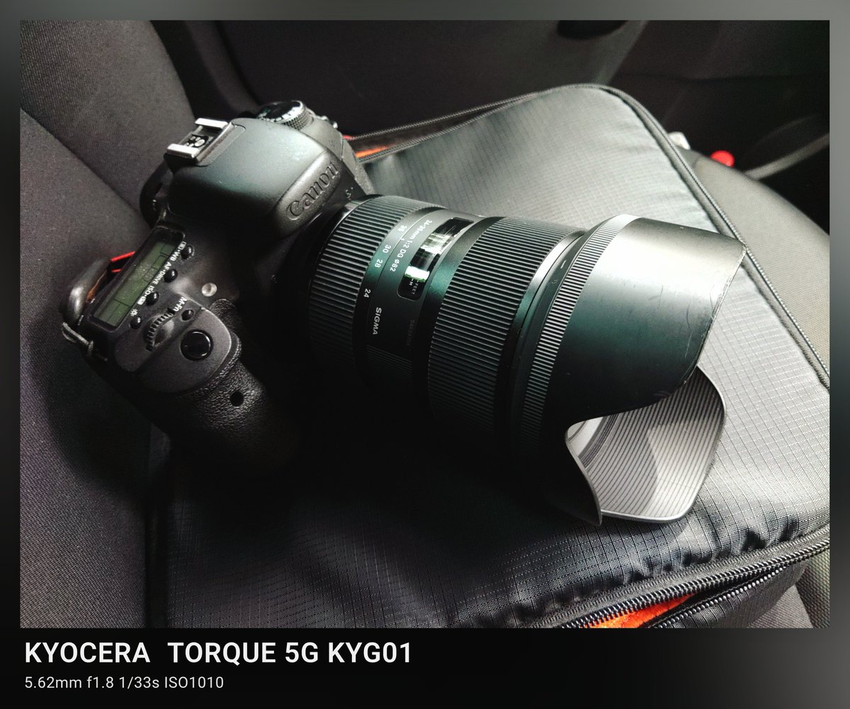 前からTwitterで書いてるけど、 古い一眼レフデジカメに シグマのArt