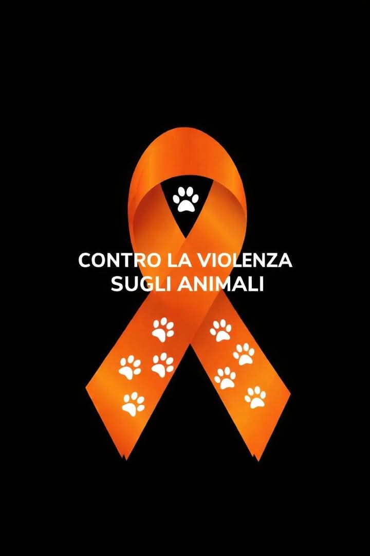 MariaRo85819362's tweet photo. Questo nastro simboleggia il desiderio di porre fine ai maltrattamenti sugli animali e di promuovere la sensibilizzazione verso il rispetto, la tutela e l’adozione responsabile. Un piccolo gesto che rappresenta una grande presa di coscienza. 🐾🧡

#fblifestyle https://t.co/YZhUwzrWSm