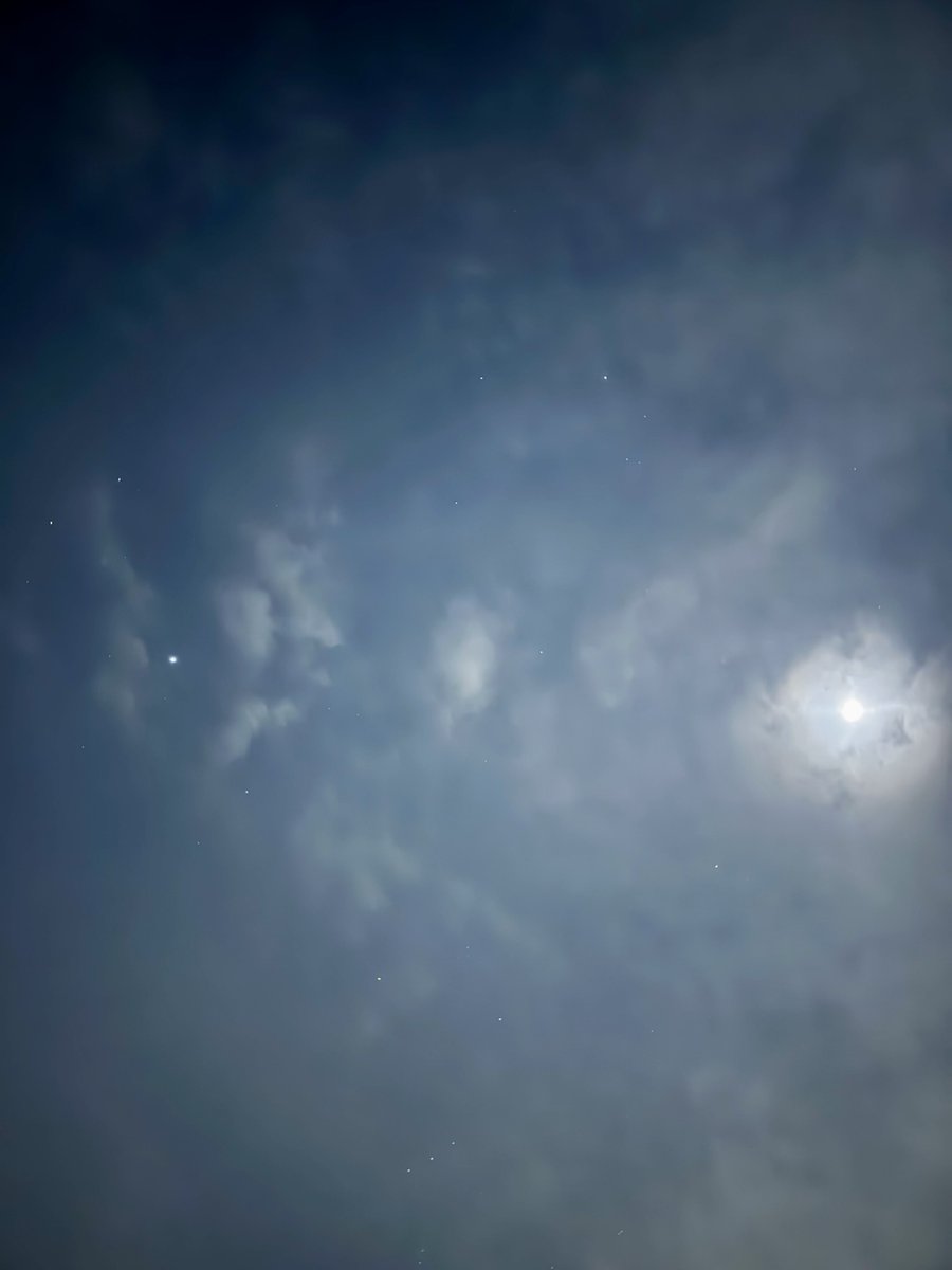 キャサリン (@Xi7ySXjpj2EYGAU) / Posts / X