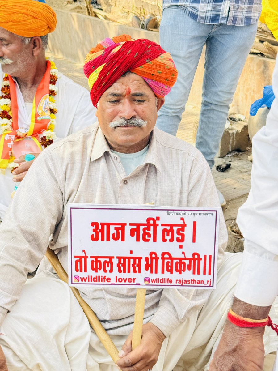 HARISH DHANDEV tweet media