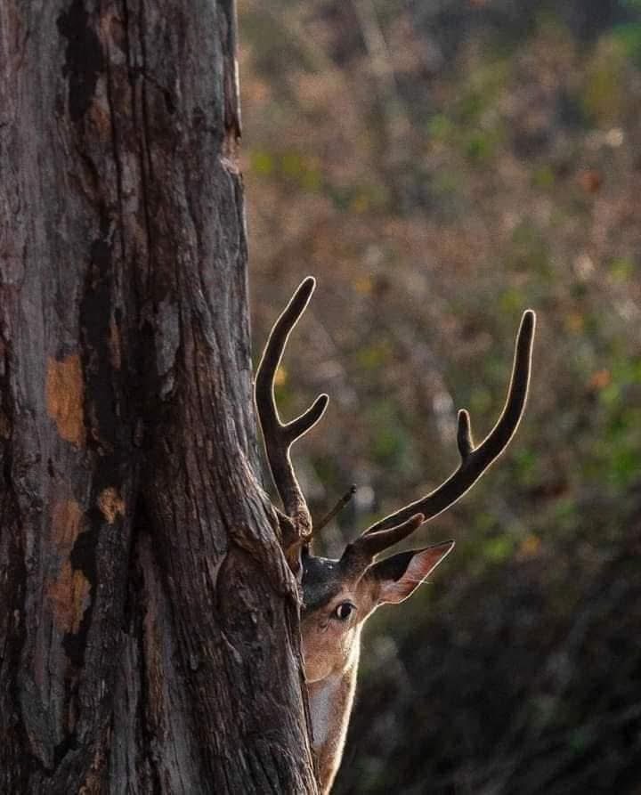 In moments of doubt and uncertainty, remain focused; stay the course; focus on peace; embrace hope. #leadership #quote #HR