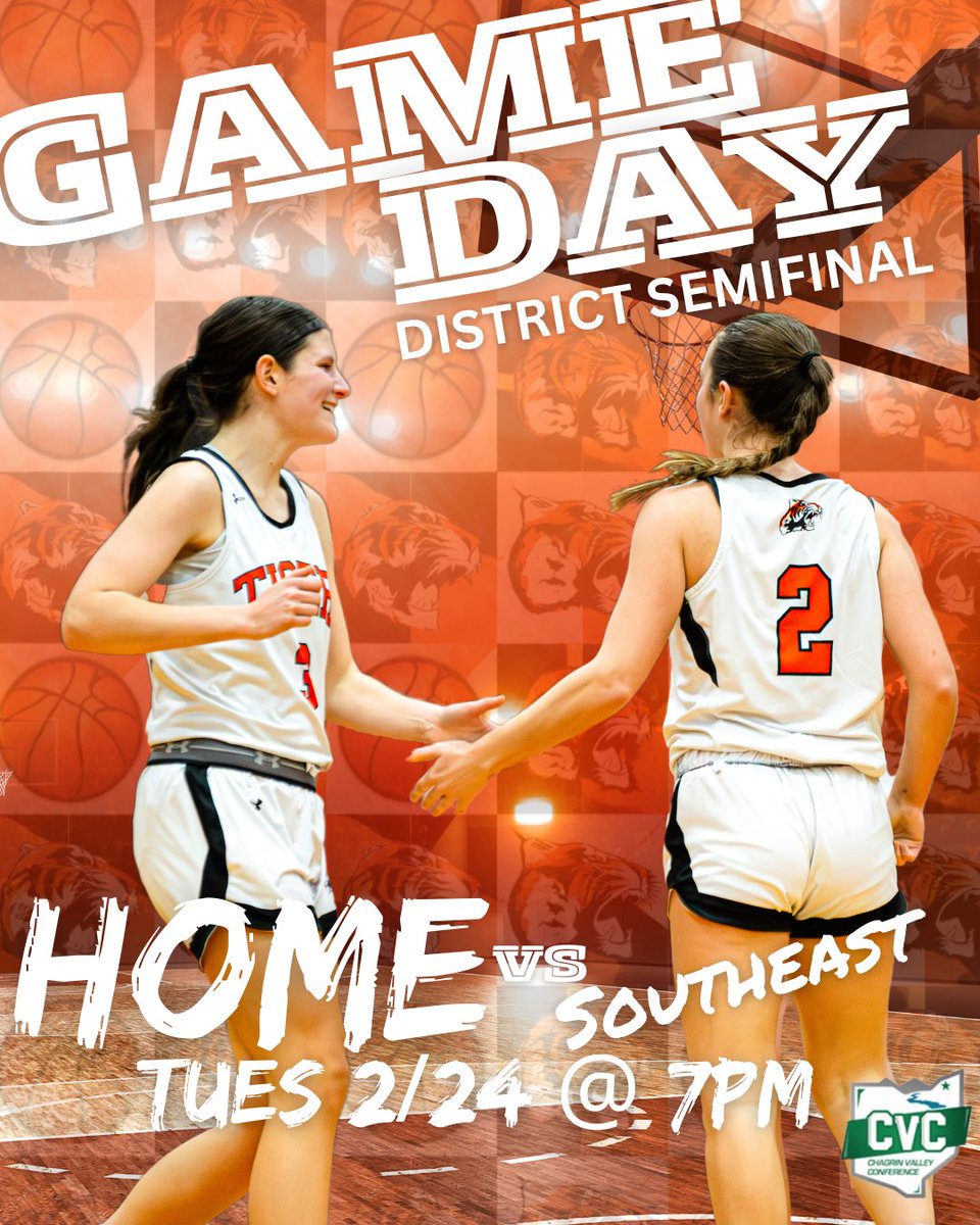 GoLadyTigers tweet media