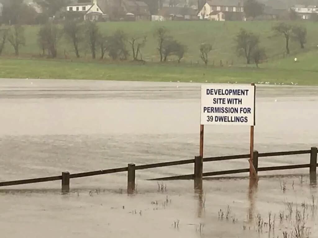 Rachey, Schrödinger's Sex Kitten's 🐭 tweet media