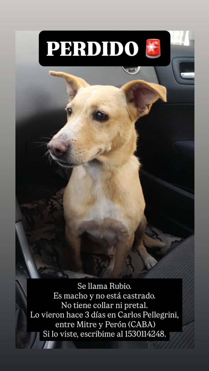 Ayudemos a esta familia a encontrarlo.