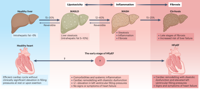 Nature Reviews Cardiology tweet media