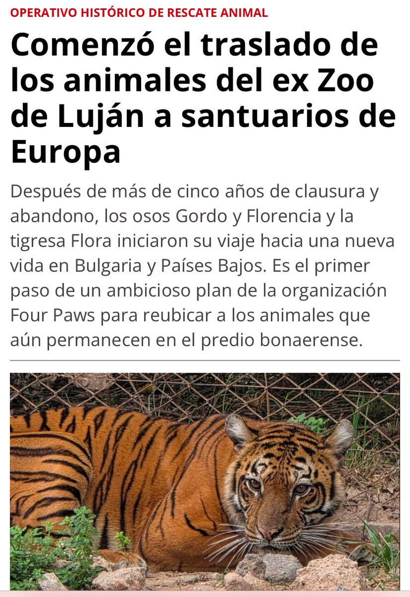 vetmarketportal.com.ar/nota/4908/come…