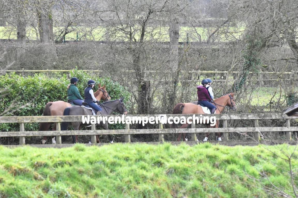 Warren Lamperd Coaching tweet media