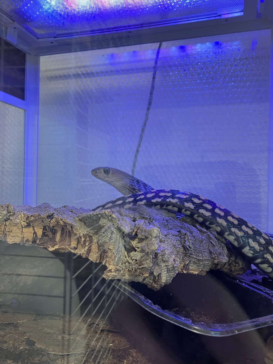 うちも似たような経験したから誰かまとめて相場の8割くらいで買って