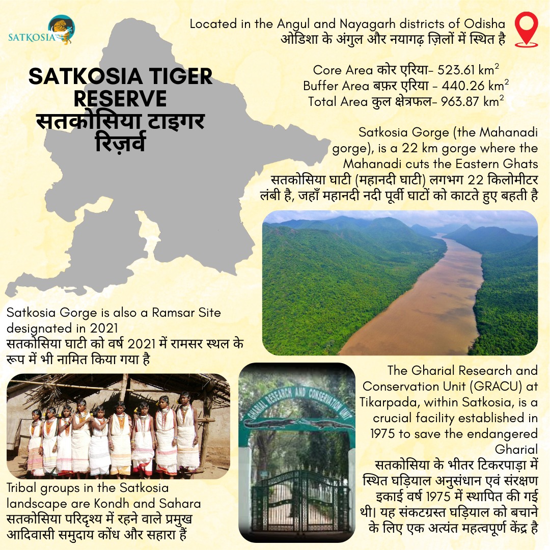 National Tiger Conservation Authority tweet media