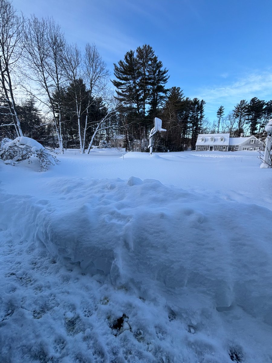 Susan Kiernan O'Horo, MD tweet media