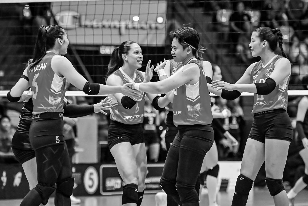 Torey Canino tweet media