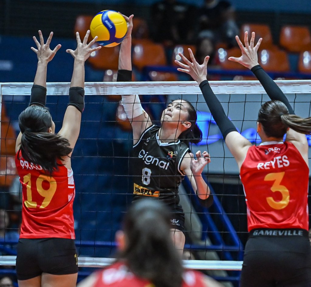 Torey Canino tweet media