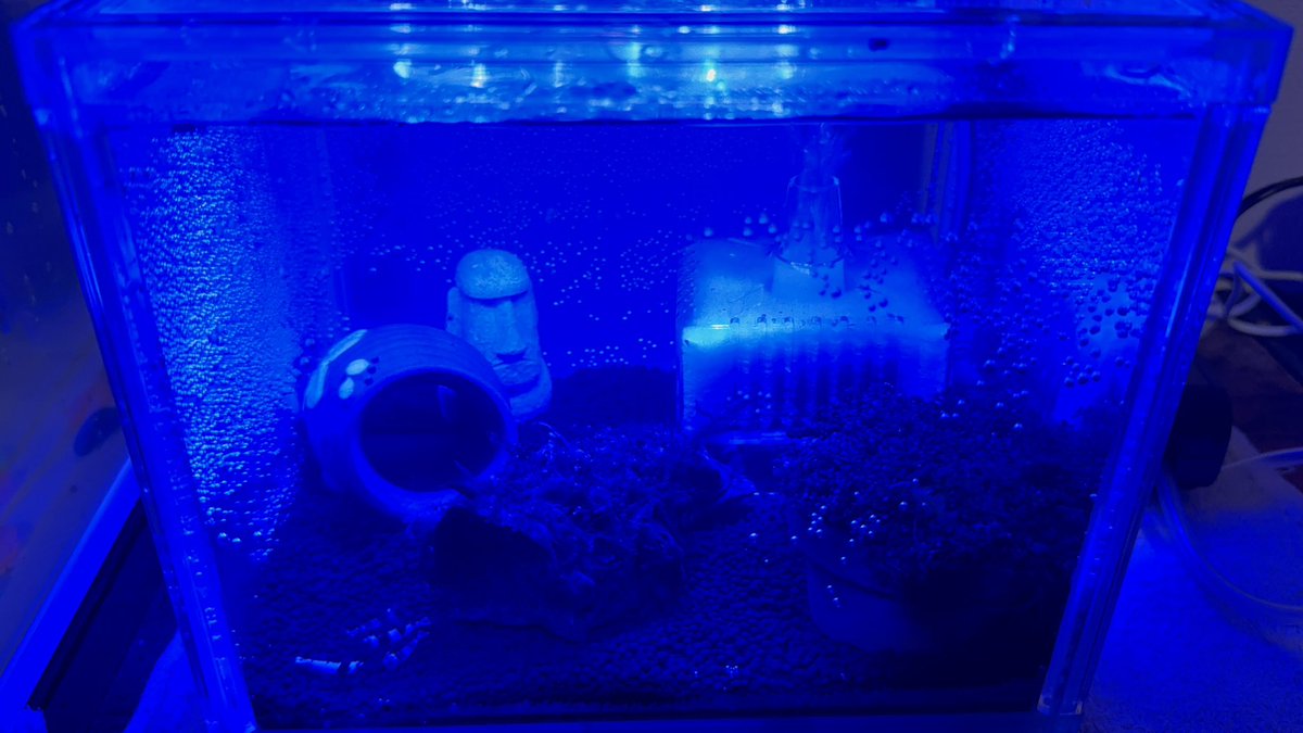 あばすぅ tweet media