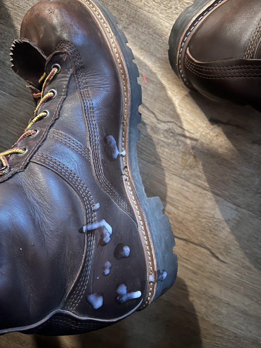 Booted Roughtrade tweet media