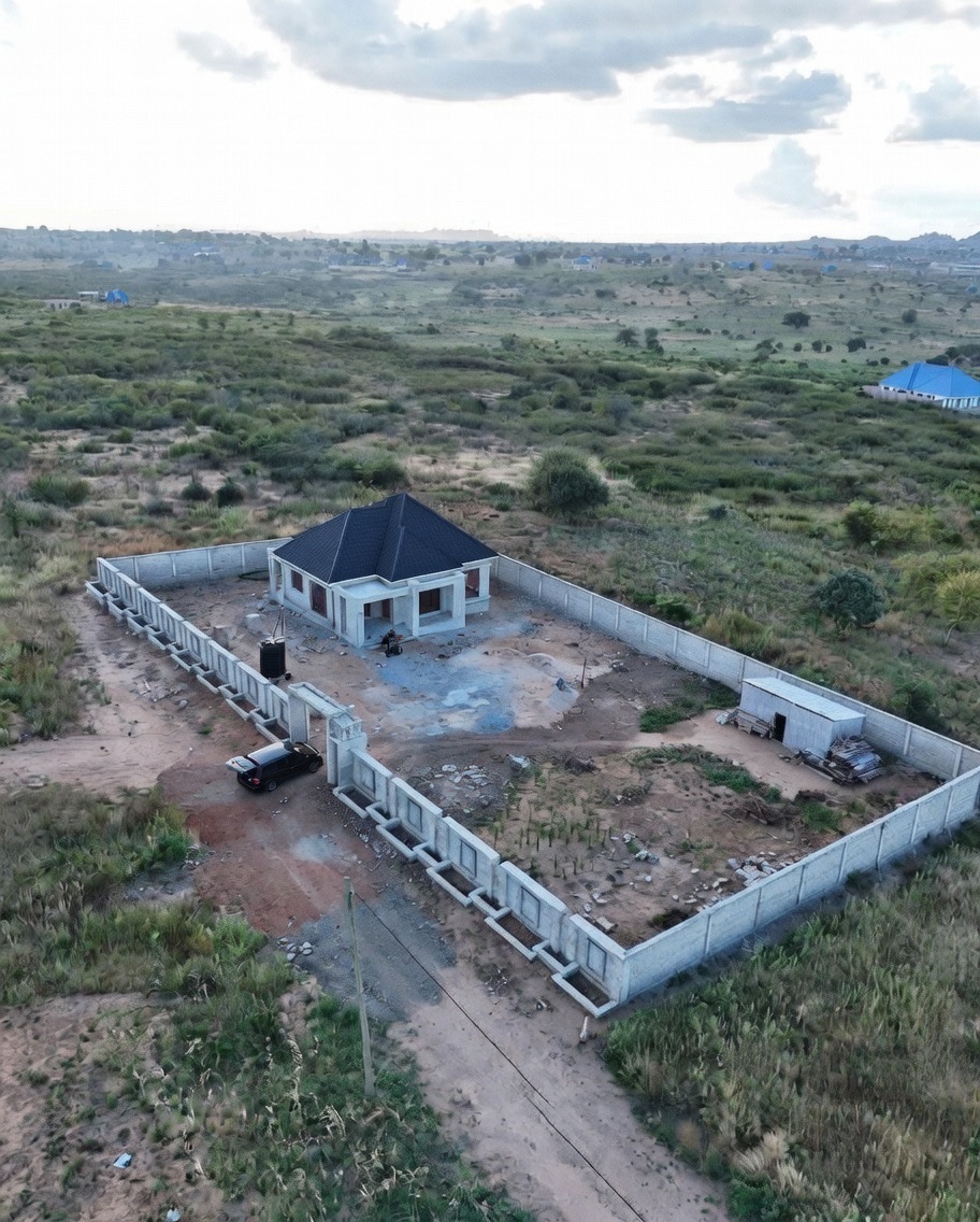 Zimviral 𝕏 tweet media