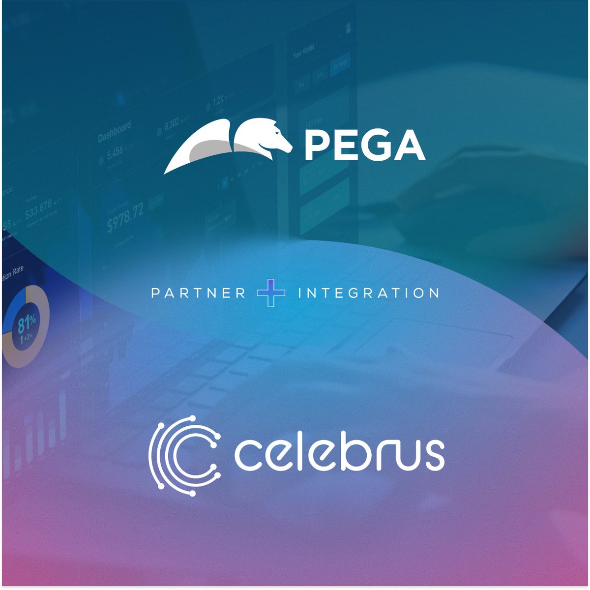 Celebrus tweet media