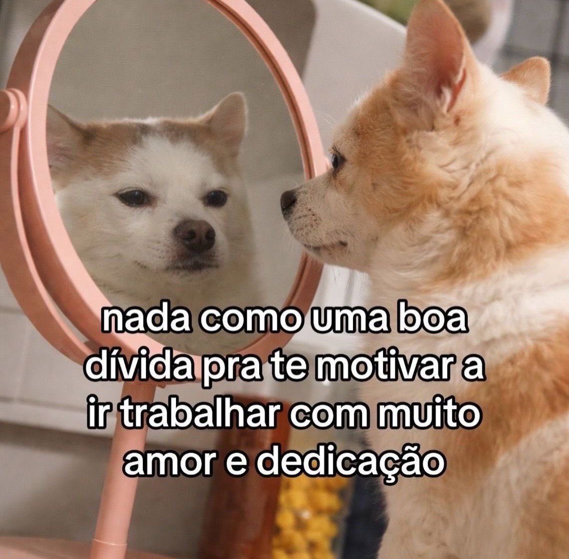 paginalixo1's tweet photo. https://t.co/0nuNvzP9vK