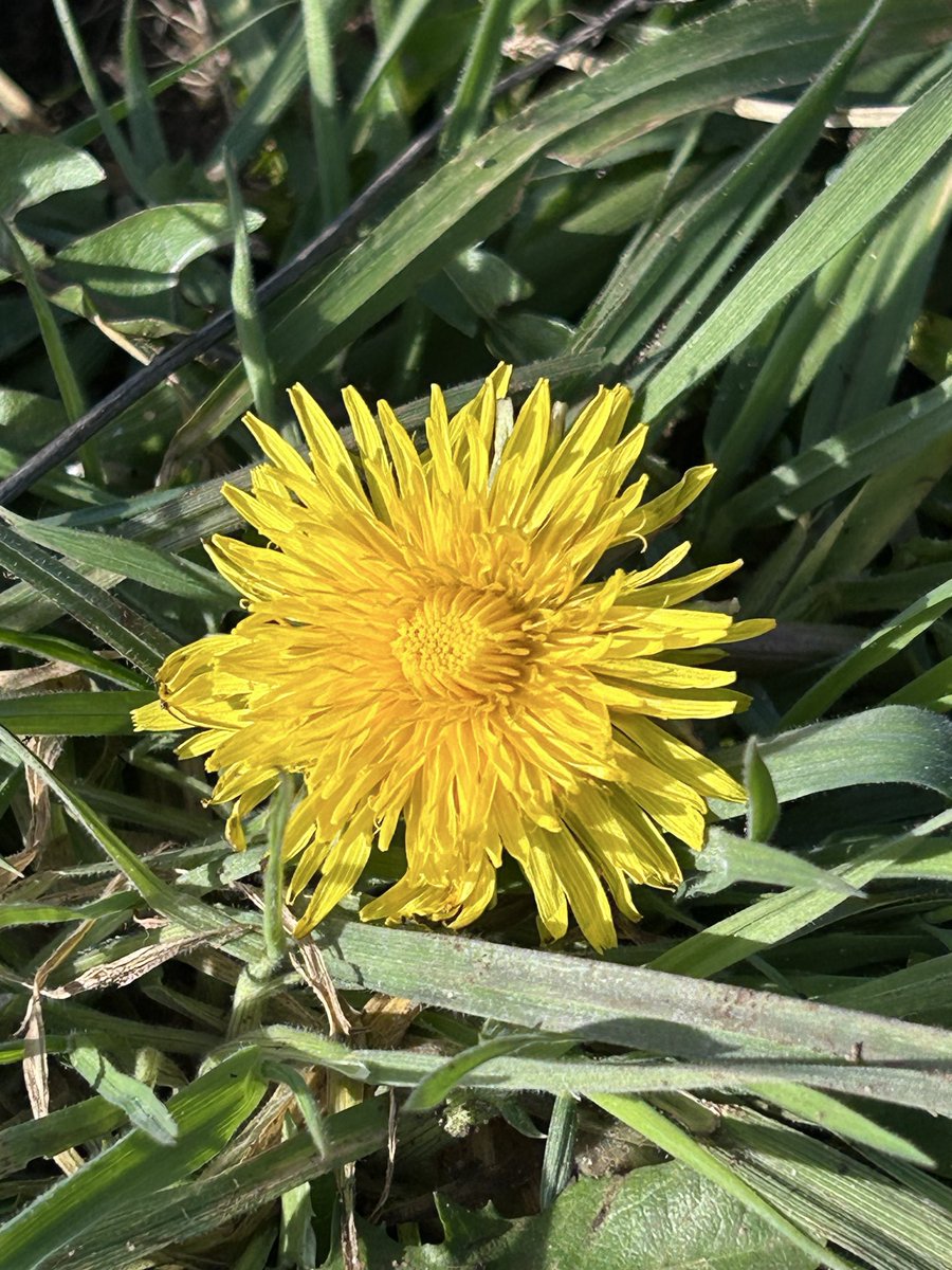 🌱Hello, I'm Mark tweet media