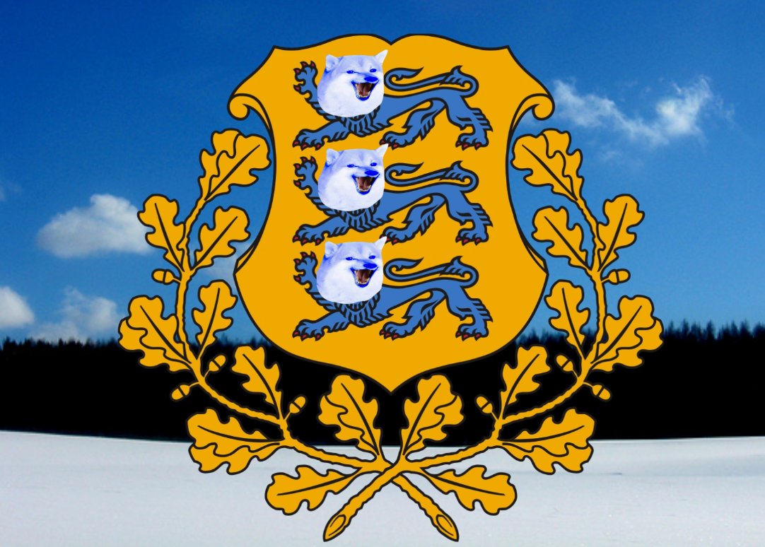 Berenika tweet media