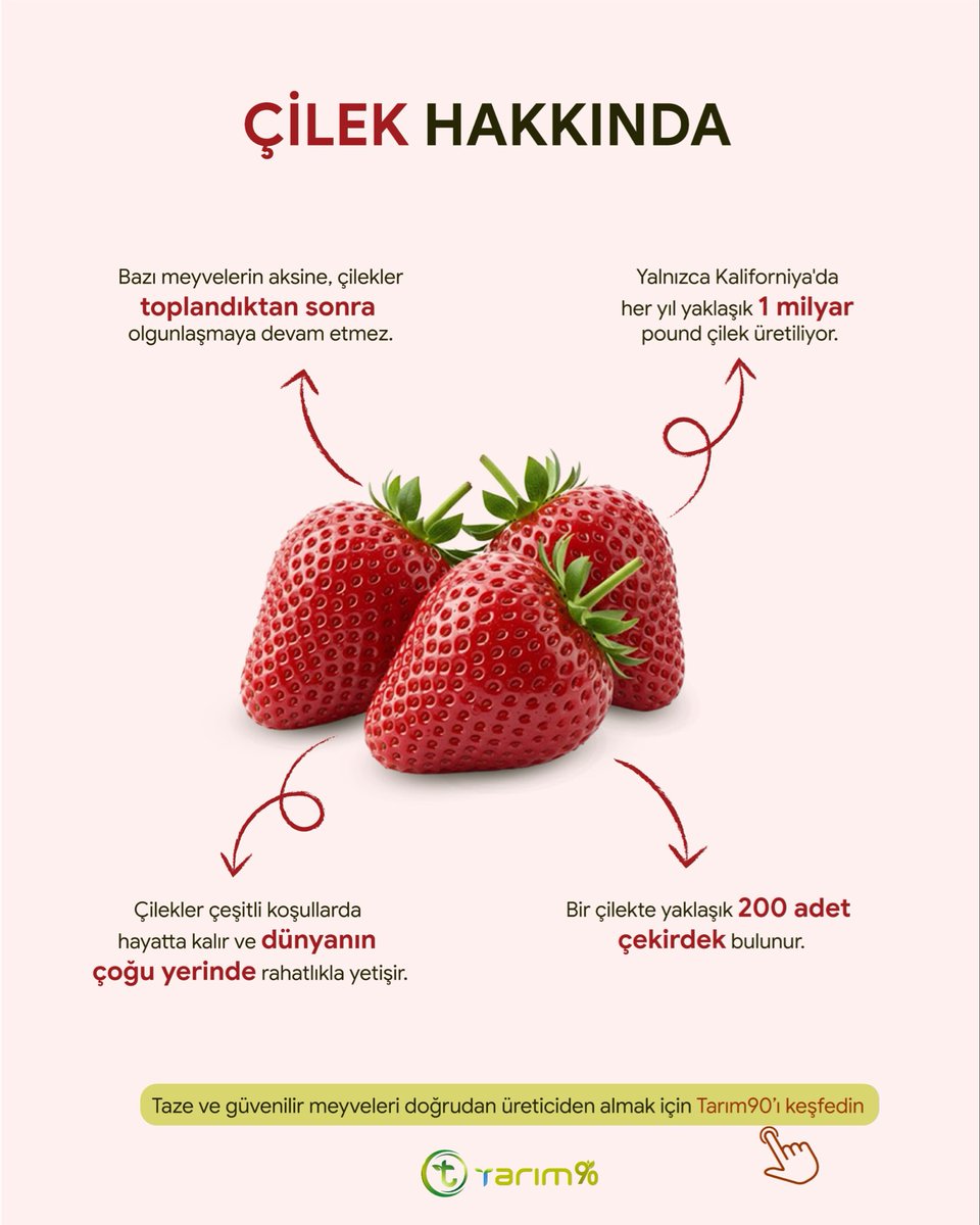 tarim_90's tweet photo. Toprakla başlayan o büyük emeğin, dijital dünyanın hızıyla buluştuğu noktadayız. Tarım90, geleneksel tarım yöntemlerini modern teknolojiyle birleştirerek hem çiftçinin hem de tüketicinin kazandığı adil bir ekosistem inşa ediyor
#Turkiye #çiftçi #taze #tarım #dijital https://t.co/vB0UeBF0VI