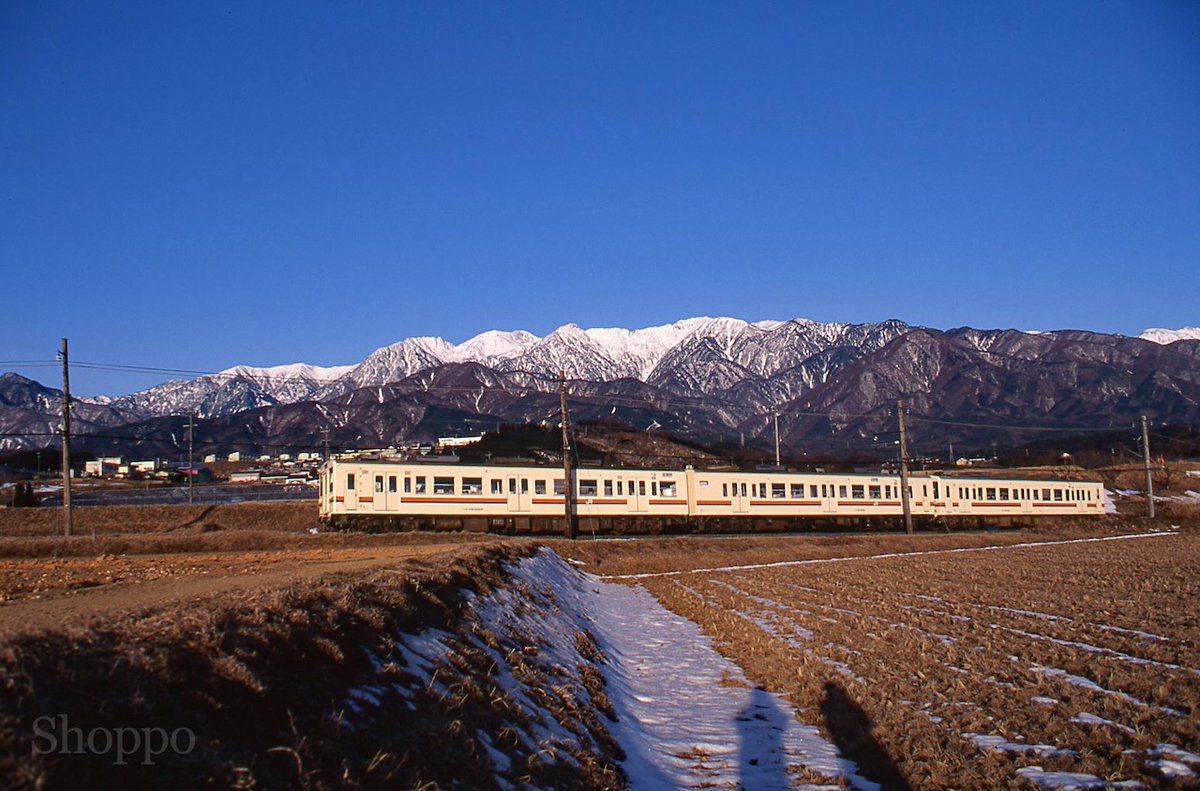 ショッポー (@shopposan0529) / Posts / X