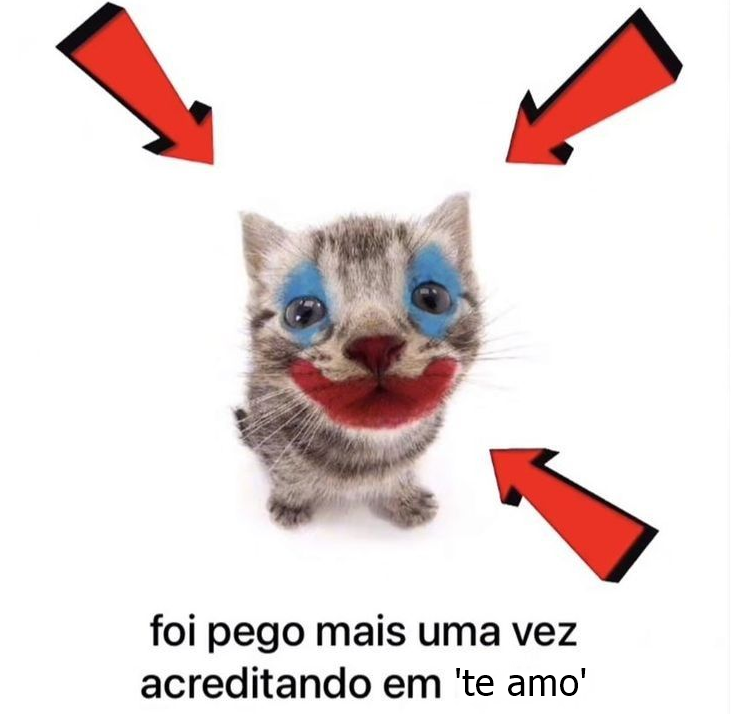 odeiootaco's tweet photo. https://t.co/DEBcFdQdOr