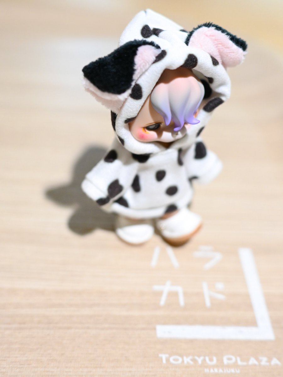 ダルメシアンはラテを運ぶよ
#kumukuku