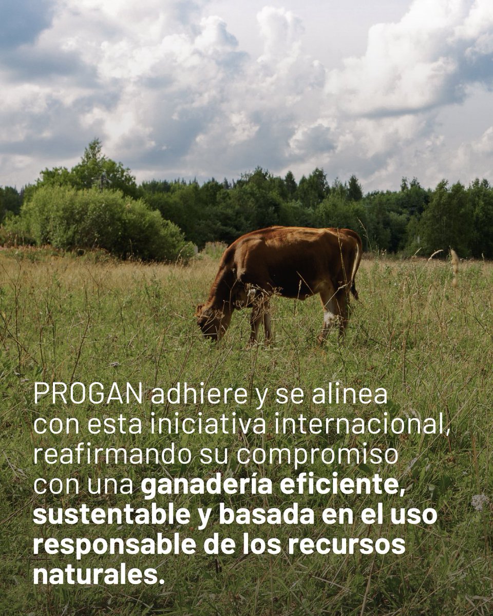 Progan - Productores Ganaderos del Uruguay tweet media