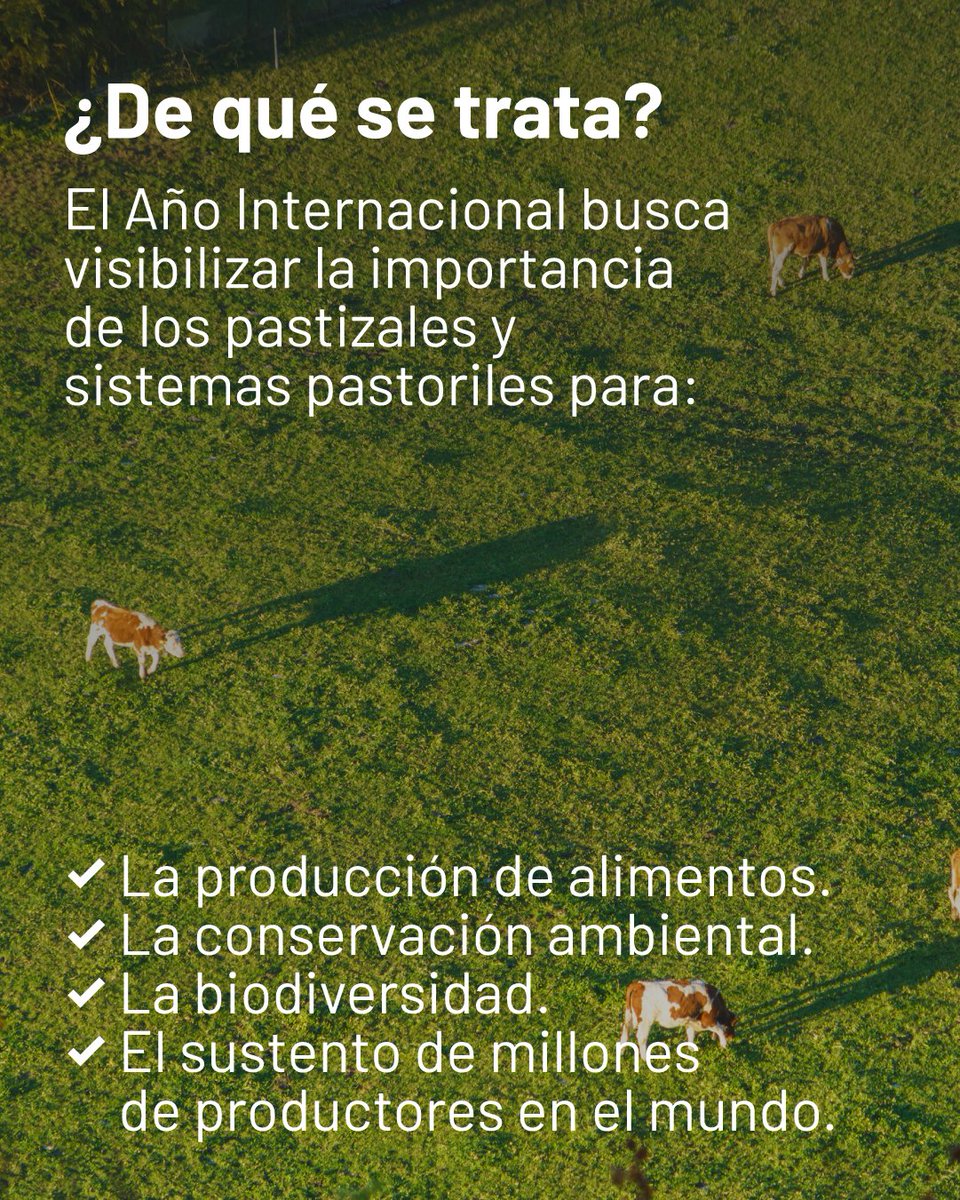 Progan - Productores Ganaderos del Uruguay tweet media