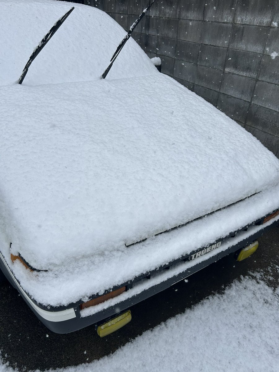 mi_86__'s tweet photo. こないだの雪の日に妹が撮ってくれたとれのたん
雪化粧とれのたんかわいいね https://t.co/g7DYDUEubv