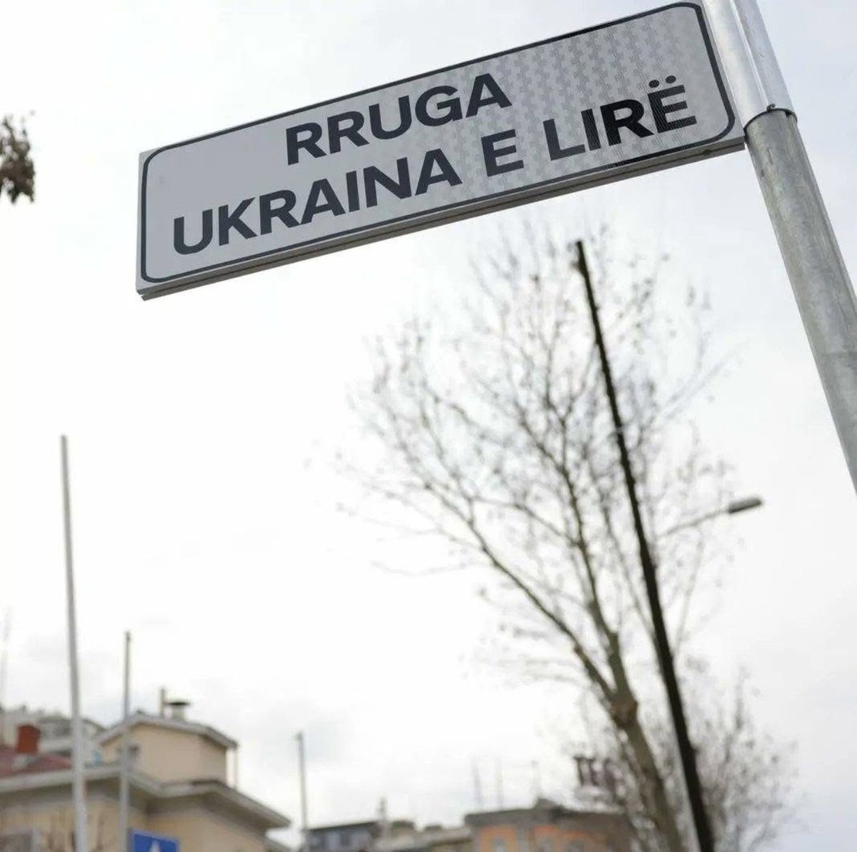 🇺🇦🤍 Sot shënohen 4 vite nga agresioni rus ndaj Ukrainës.
Në Këshillin e Tiranës asokohe votuam emërtimin e rrugës me emrin “Ukraina e Lirë”. Një gjest simbolik si mesazh i qartë që Shqipëria qëndron në anën e lirisë, sovranitetit dhe dinjitetit njerëzor. Slava Ukraini! 🇺🇦