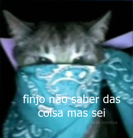 perfil dedicado a gatinhos e peitos (@odeiootaco) on Twitter photo 