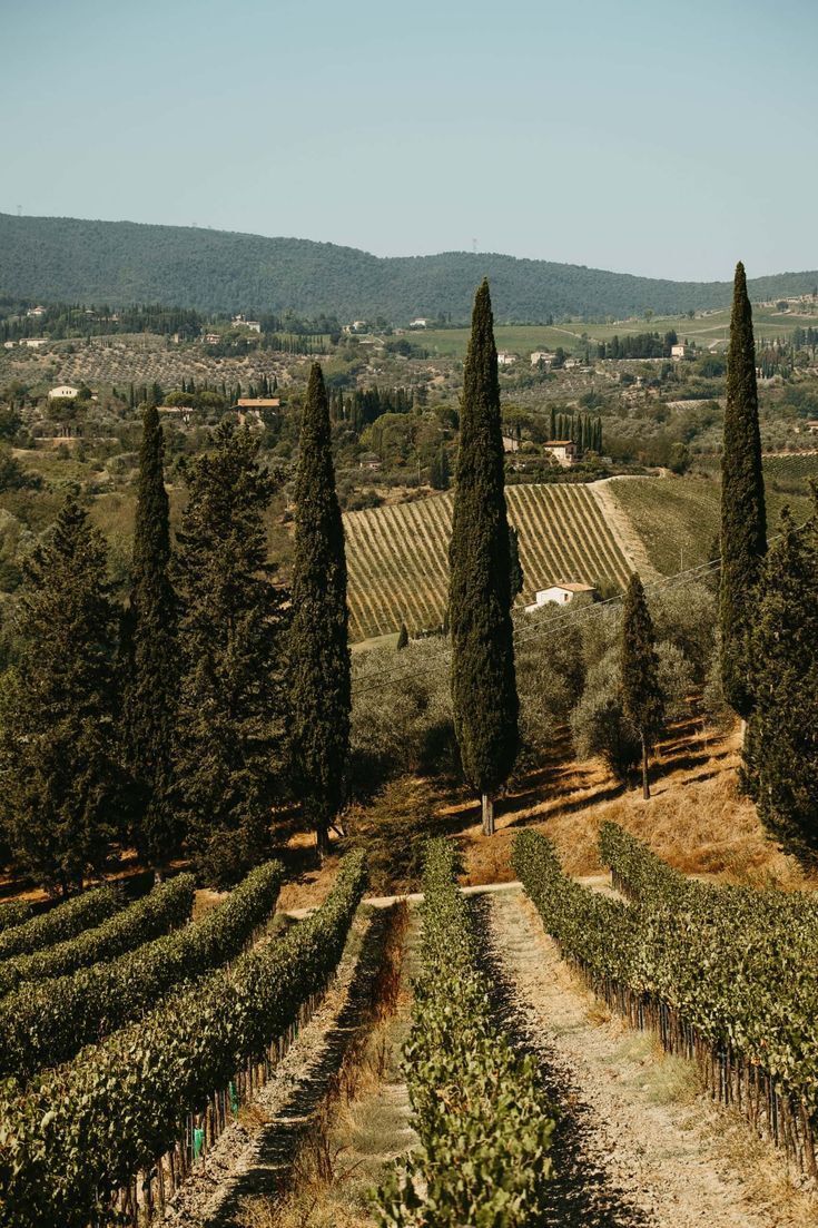 MozartCultures's tweet photo. san gimignano vibes, italy https://t.co/9nuljzsPhA