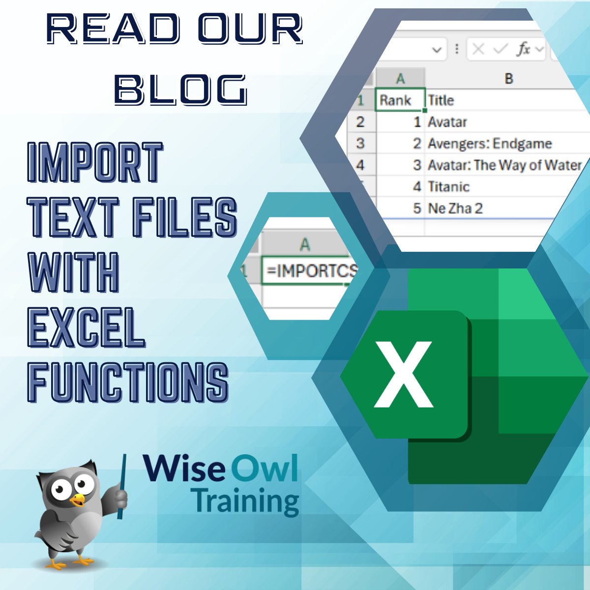 Wise Owl Training tweet media