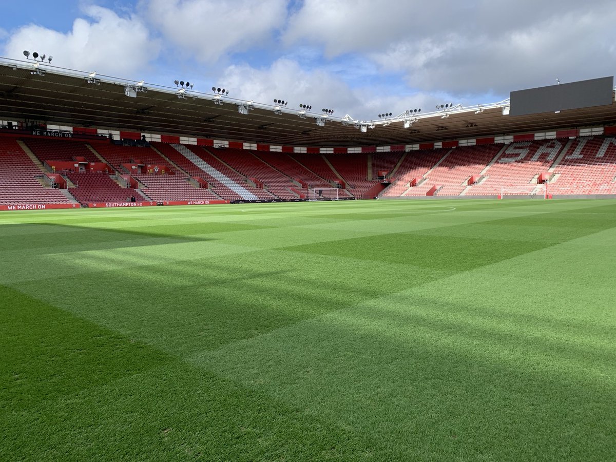 steve new tweet media