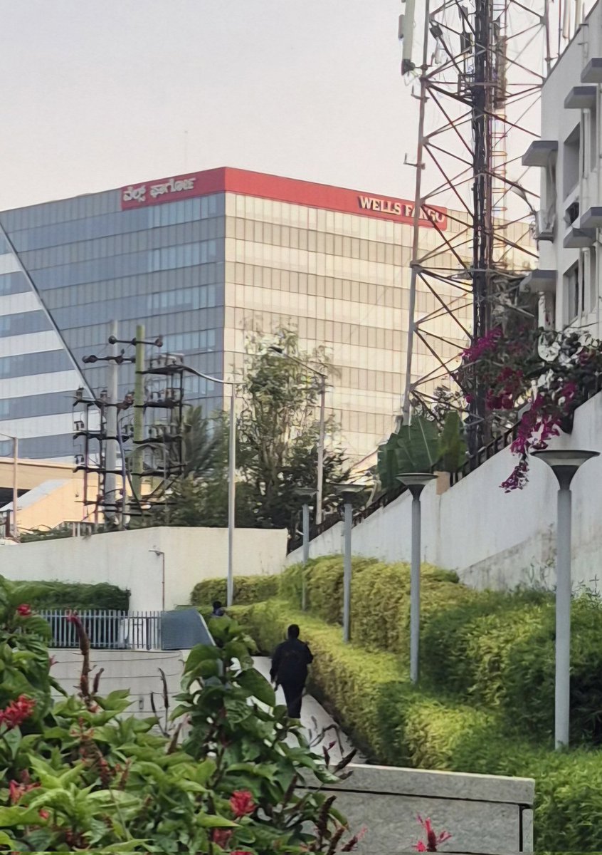 wild_sonica's tweet image. My daily ka view from my desk also 😅 #Competitors