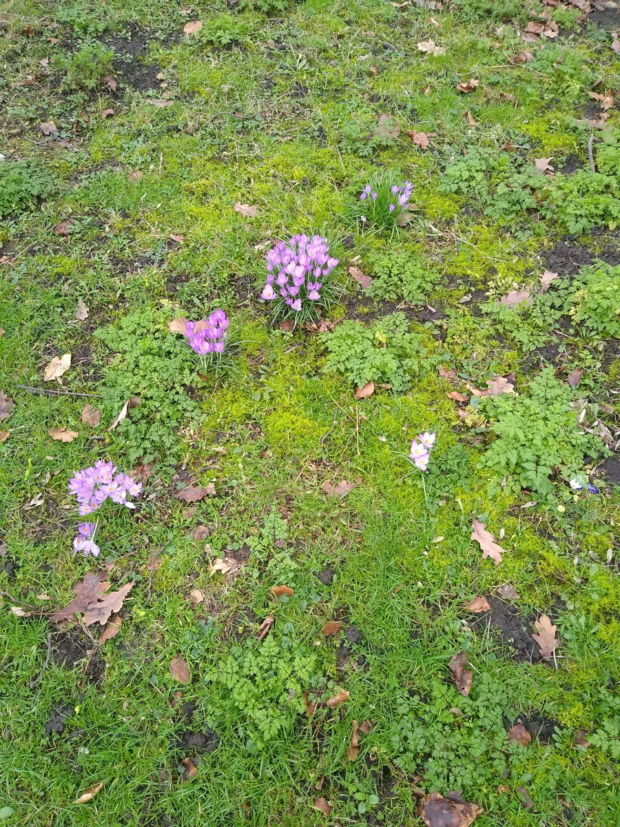 InTunePR tweet media