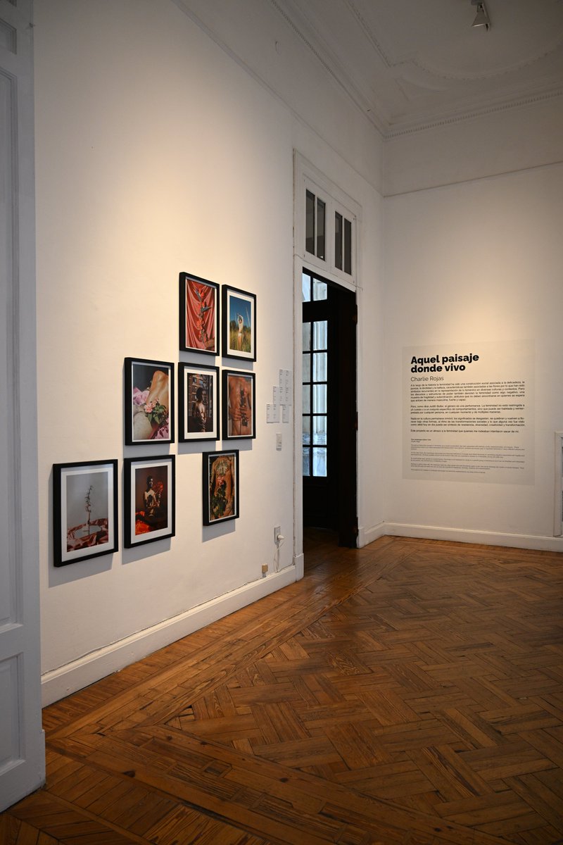 🔸 CHARLIE ROJAS | 𝘈𝘲𝘶𝘦𝘭 𝘱𝘢𝘪𝘴𝘢𝘫𝘦 𝘥𝘰𝘯𝘥𝘦 𝘷𝘪𝘷𝘰

📸 Una serie fotográfica que 𝗮𝗯𝗼𝗿𝗱𝗮 𝗹𝗮 𝗳𝗲𝗺𝗶𝗻𝗶𝗱𝗮𝗱 𝗰𝗼𝗺𝗼 𝘁𝗲𝗿𝗿𝗶𝘁𝗼𝗿𝗶𝗼 𝗱𝗲 𝗿𝗲𝘀𝗶𝘀𝘁𝗲𝗻𝗰𝗶𝗮 𝘆 𝘁𝗿𝗮𝗻𝘀𝗳𝗼𝗿𝗺𝗮𝗰𝗶ó𝗻.