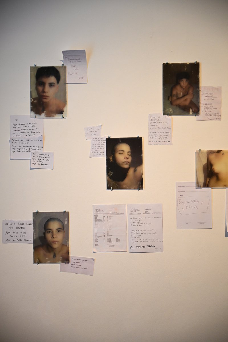 🔸 LUDOVICO NAVARRO VEGA | 𝘋𝘦𝘳𝘦𝘤𝘩𝘰 𝘢 𝘶𝘯𝘢 𝘱𝘪𝘦𝘭

📸 Un trabajo que 𝗮𝗯𝗼𝗿𝗱𝗮 𝗲𝗹 𝗽𝗿𝗼𝗰𝗲𝘀𝗼 𝗱𝗲 𝘁𝗿𝗮𝗻𝘀𝗶𝗰𝗶ó𝗻 𝗱𝗲 𝗴é𝗻𝗲𝗿𝗼 𝗱𝗲𝘀𝗱𝗲 𝘂𝗻𝗮 𝗲𝘅𝗽𝗲𝗿𝗶𝗲𝗻𝗰𝗶𝗮 𝗽𝗲𝗿𝘀𝗼𝗻𝗮𝗹, 𝗰𝗼𝗿𝗽𝗼𝗿𝗮𝗹 𝘆 𝗲𝗺𝗼𝗰𝗶𝗼𝗻𝗮𝗹.