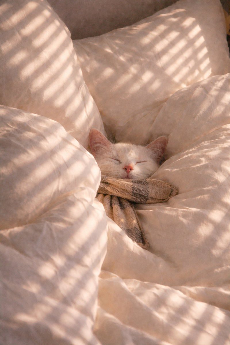 away from keyboard tweet media