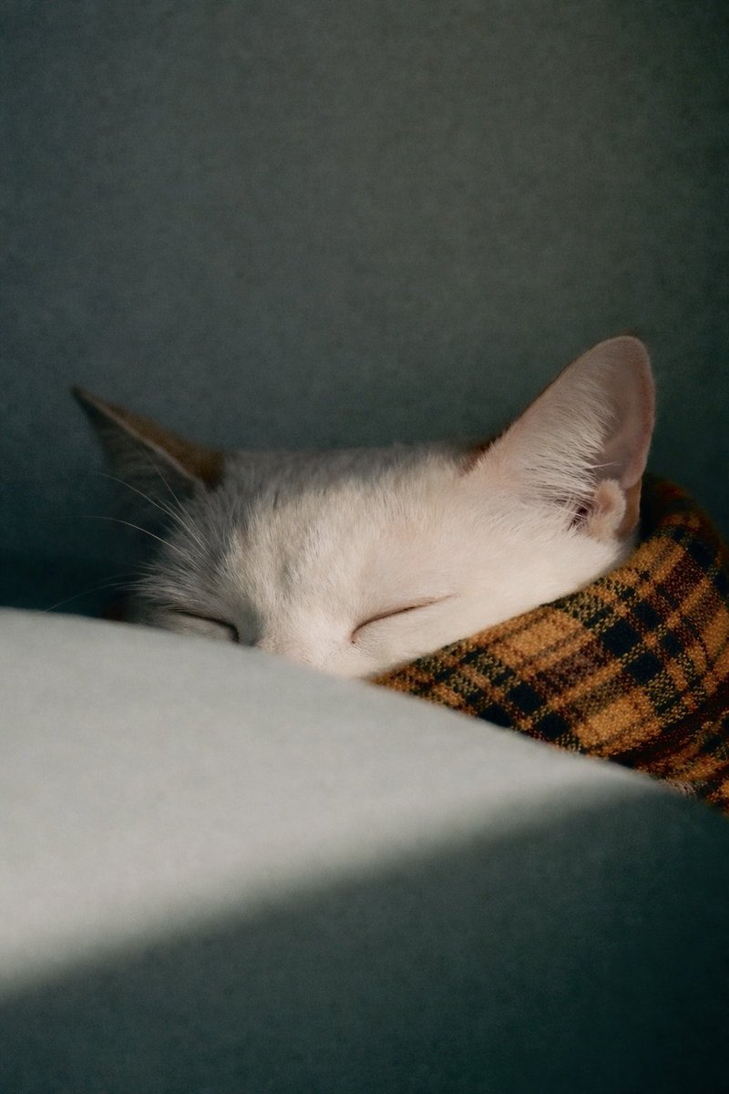 away from keyboard tweet media